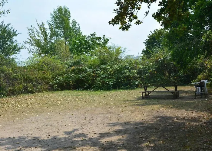 Kunstsammler By Interhome Apartmán